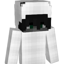 unsurfy_ Minecraft avatar bust
