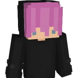 unsxved Minecraft avatar bust