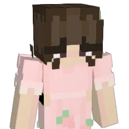 urmomswh0re Minecraft avatar bust