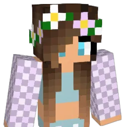 usakame1111 Minecraft avatar bust