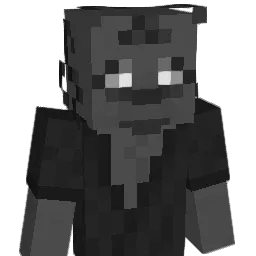 user823493247 Minecraft avatar bust