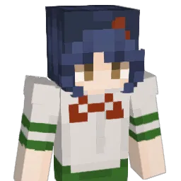 usm1023 Minecraft avatar bust