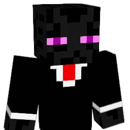 usp101 Minecraft avatar bust