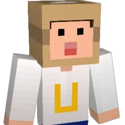 usu_1800 Minecraft avatar bust