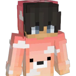 usynligfrosk Minecraft avatar bust