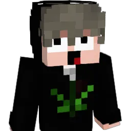 v3rtsk1 Minecraft avatar bust