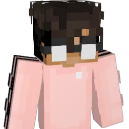 v4nkru1s Minecraft avatar bust