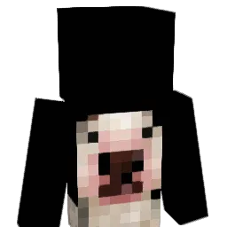 v8kira Minecraft avatar bust