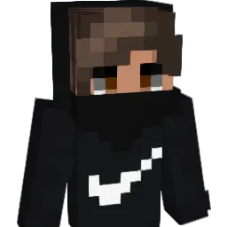 vKILLA_NGM Minecraft avatar bust