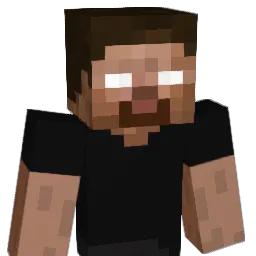 vNvv Minecraft avatar bust
