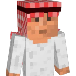 vPaku Minecraft avatar bust