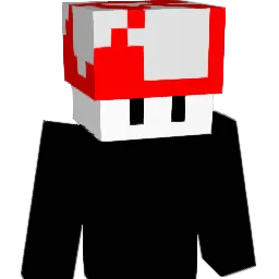 vRafica Minecraft avatar bust