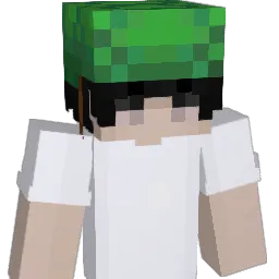 vTurtles's Minecraft skin