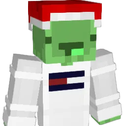 vTwingo Minecraft avatar bust