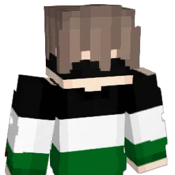 vajixx