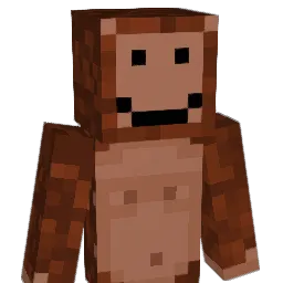 vaki11 Minecraft avatar bust