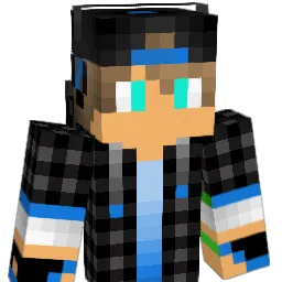 val_24 Minecraft avatar bust