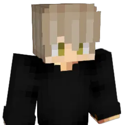 vali111 Minecraft avatar bust