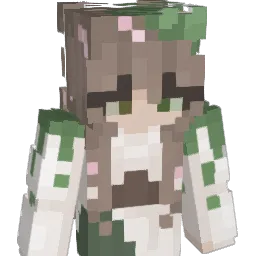 valkyrie2206 Minecraft avatar bust