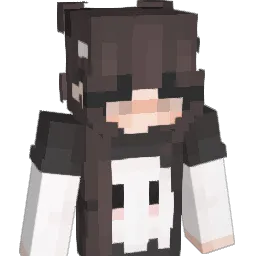 vanifuny20 Minecraft avatar bust