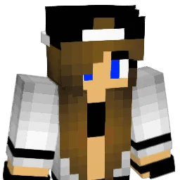 vanrox14 Minecraft avatar bust