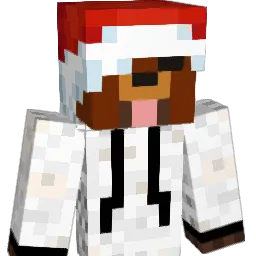 vanvannnnn Minecraft avatar bust