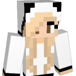 vaoms Minecraft avatar bust