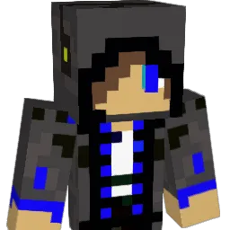 vaporus1 Minecraft avatar bust
