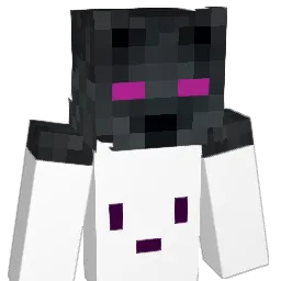 varaodeguerra Minecraft avatar bust