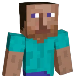 varjis4993