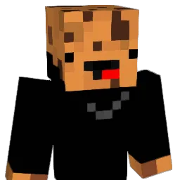vasa1313 Minecraft avatar bust
