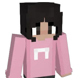 vassytender Minecraft avatar bust