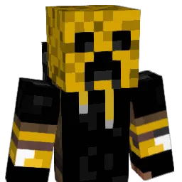 vc__ Minecraft avatar bust