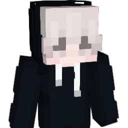 vccssptr Minecraft avatar bust