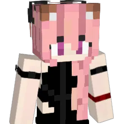 vddv Minecraft avatar bust