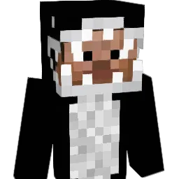 veast4 Minecraft avatar bust