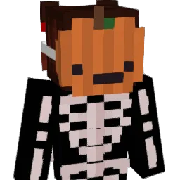 veewooveewoo Minecraft avatar bust