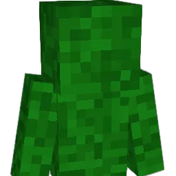 verifications's Minecraft skin