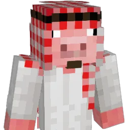 vern64108 Minecraft avatar bust