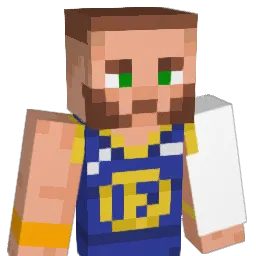 veryterry Minecraft avatar bust