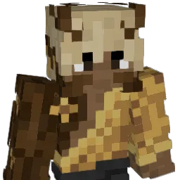 veslo2