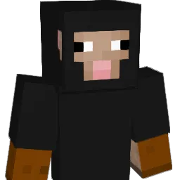 vfgs Minecraft avatar bust