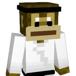 vfhr122's Minecraft skin