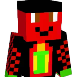 vgsvpl Minecraft avatar bust