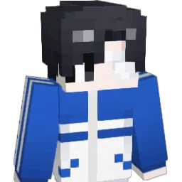 vhavlcm Minecraft avatar bust