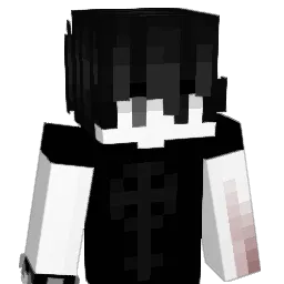 vhj3 Minecraft avatar bust