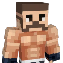 viXalk Minecraft avatar bust