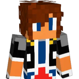 vicedvick