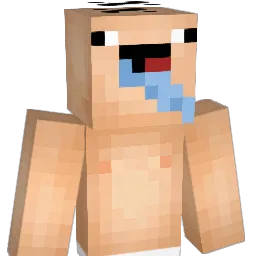 vickefrank02 Minecraft avatar bust