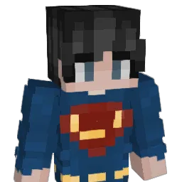 viibo24 Minecraft avatar bust